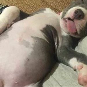 Meet your Posher, Katherine